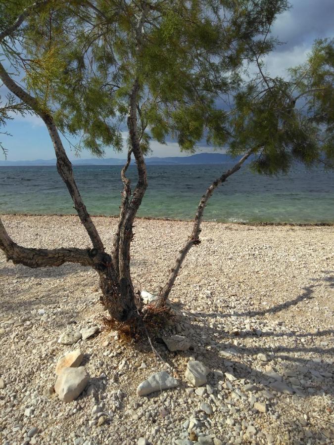 Apartments Zvonimir,Place By The Sea Mirca  ภายนอก รูปภาพ